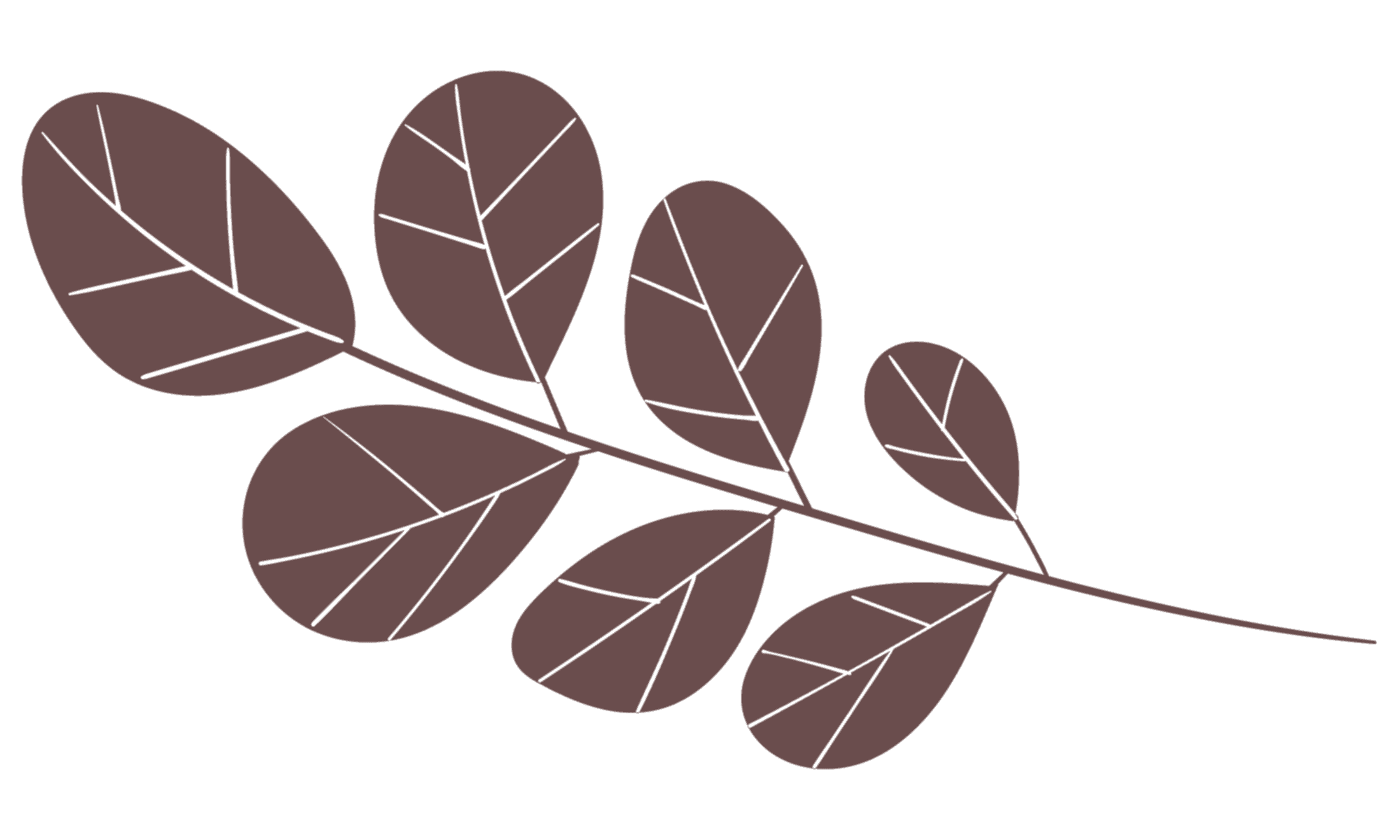 Anasayfa 15 ornament 2 1
